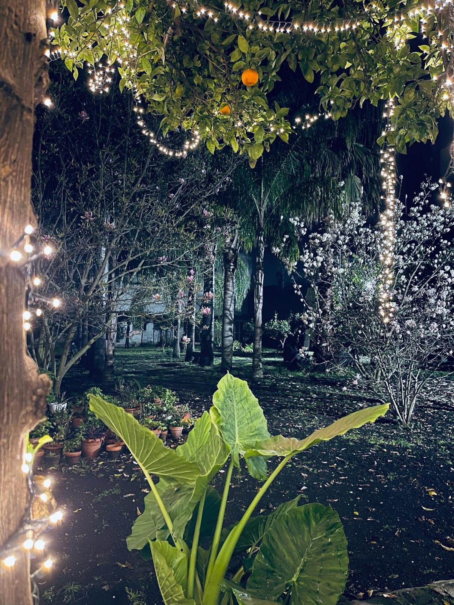 Giardino Del Vesuvio, Pompei Villa Terzigno Kültér fotó